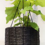 Ingegerd Råman, korg