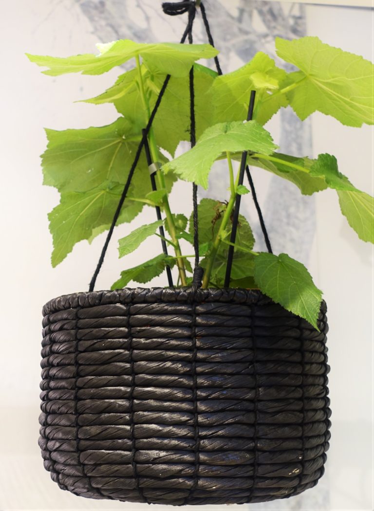 Ingegerd Råman, korg