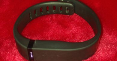 fitbit flex