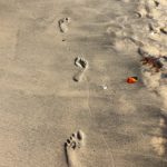 Gambia - The smiling coast