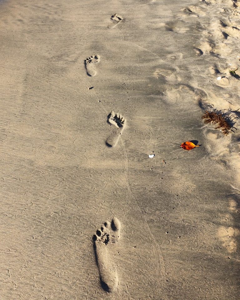 Gambia - The smiling coast