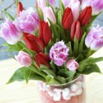 tulpaner-blomsterlandet