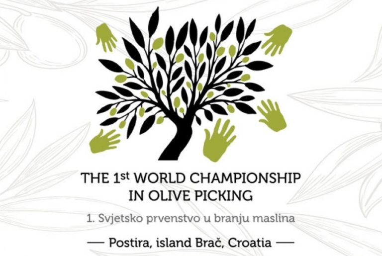 championship_olive_picking (2)