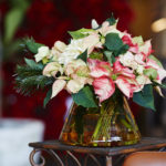 Lina Arvidsson Fotograf_Blomsterfrämjandet_julpress2016 4