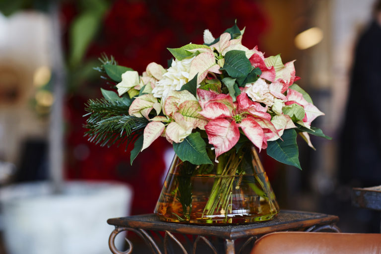 Lina Arvidsson Fotograf_Blomsterfrämjandet_julpress2016 4