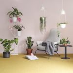 Thomas Sandell i designsamarbete med Plantagen