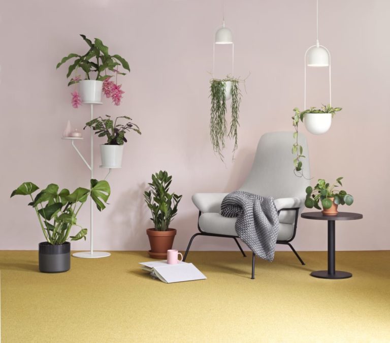 Thomas Sandell i designsamarbete med Plantagen