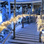 Välkommen in i Birka Cruises vintervärld