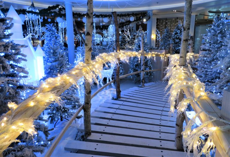 Välkommen in i Birka Cruises vintervärld