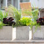 Palettblad_foto_annikasnaturligating