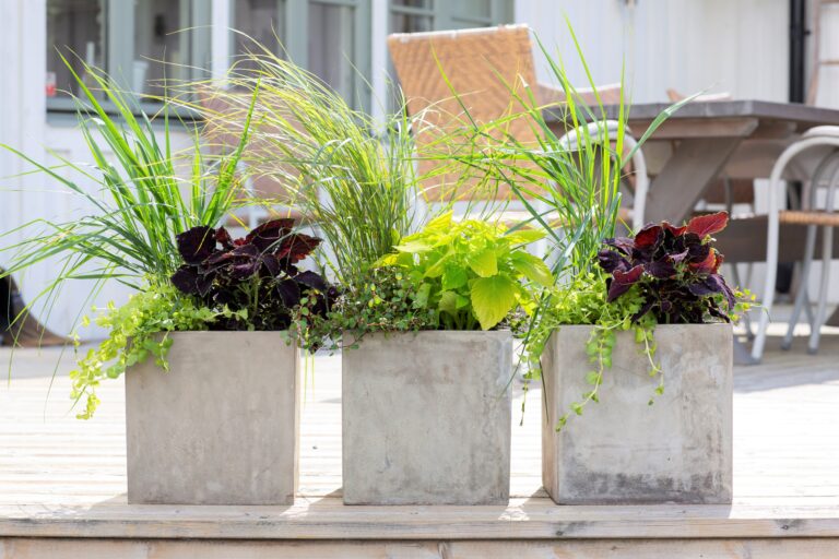 Palettblad_foto_annikasnaturligating