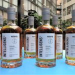 intelligens mackmyra