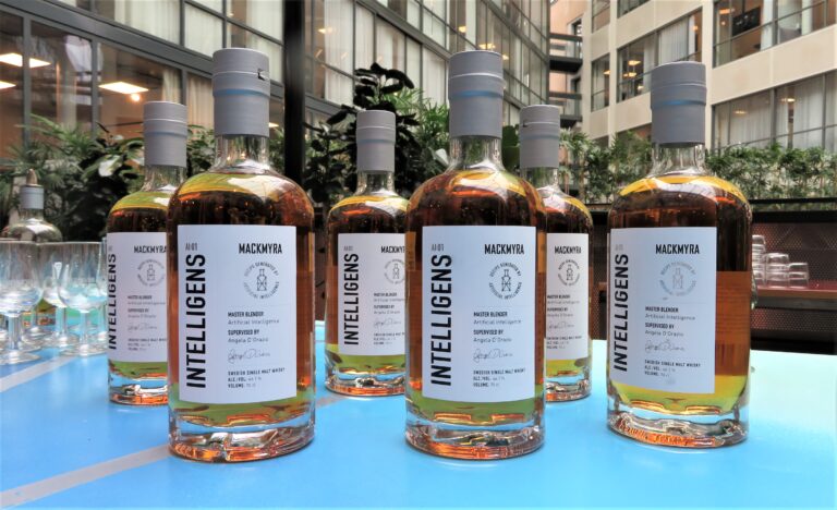 intelligens mackmyra