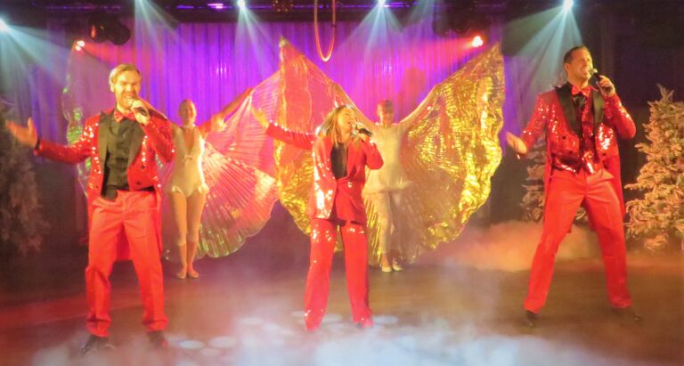 birka cruises julshow