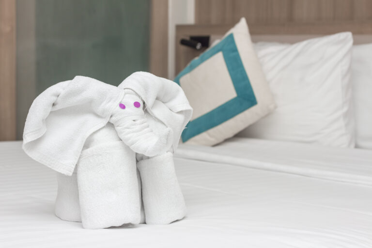 Fold A Towel Elephant