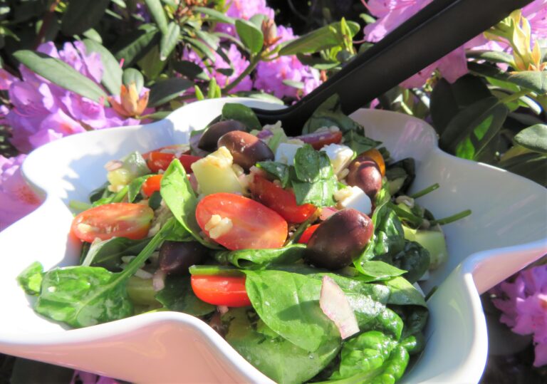 melonsallad med havreris