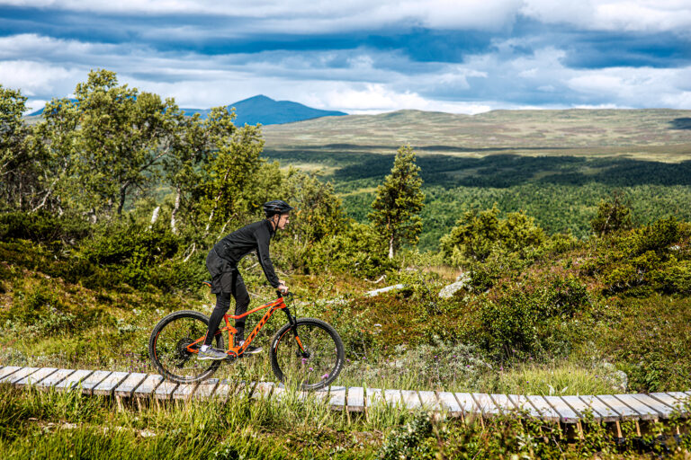 Top_press_cykelpark_trall