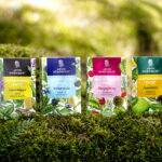 Arvid Nordquist Te Skandinavisk Twist