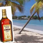 beach-martinique-caribbean-french beskuren