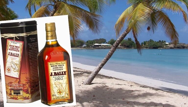 beach-martinique-caribbean-french beskuren