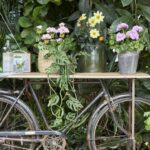 blomtserfrämjandet cykel