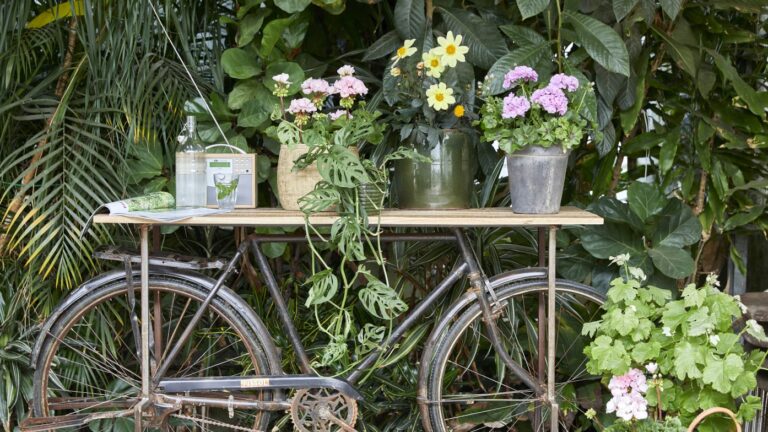 blomtserfrämjandet cykel