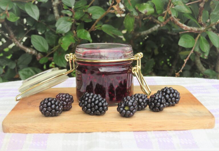 björnbärssylt
