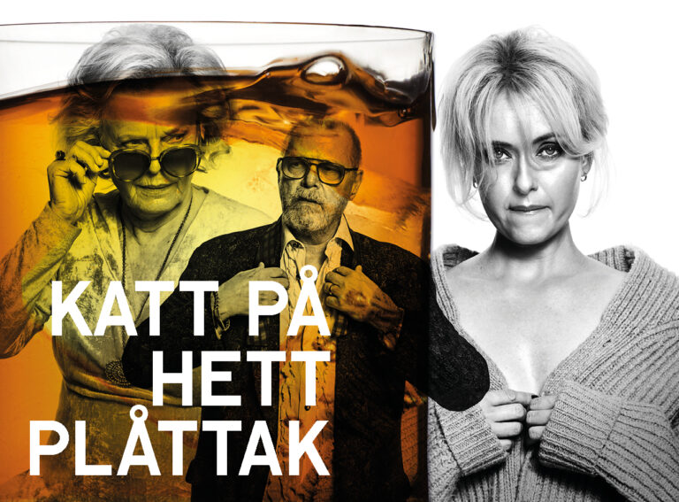 katt på hett plåttak