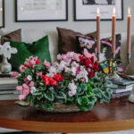 zzqwygaud2l6spx4eylt