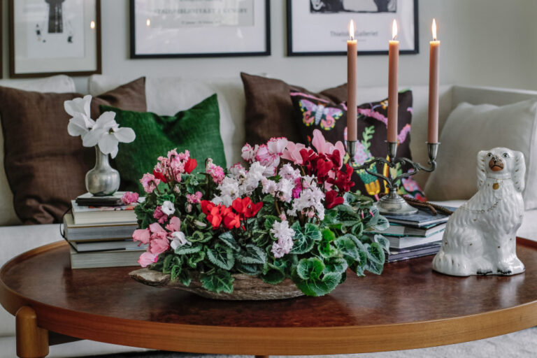 zzqwygaud2l6spx4eylt