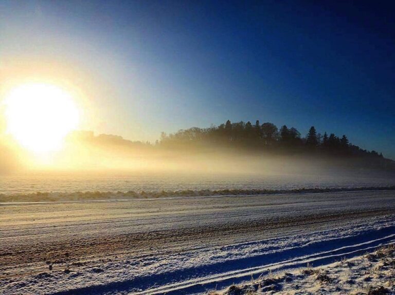 2756FB29-FAE4-4A08-96EC-452D7E43ADD0