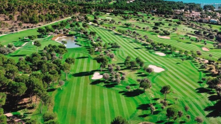 bos8yojjw1xnysfy1ru9