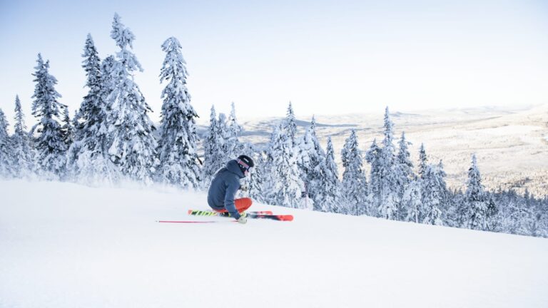 eeidtw9ofnbatgnuxh8t