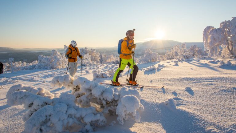 hyqehrji88bh9cpsru0t