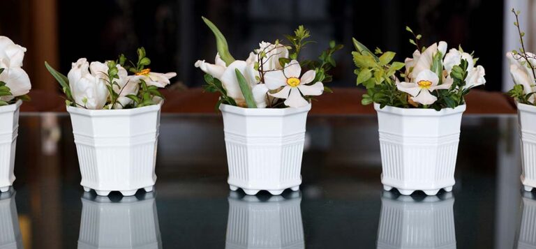 små krukor med påskliljor