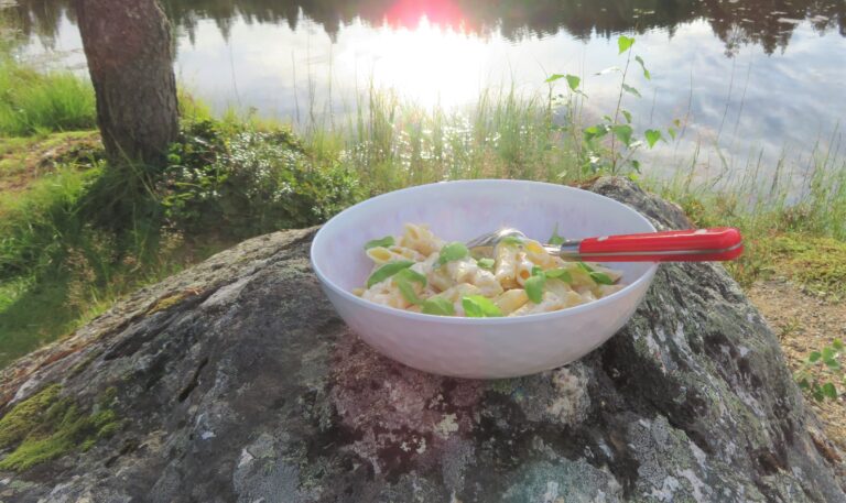 pasta med ostsås