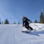 Action familj_DSC4257 kopiera