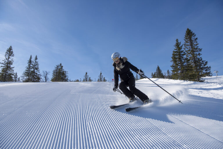 Action familj_DSC4257 kopiera