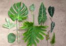 Gröna växter – trivselfaktor till ditt hem