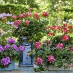 blomma 1