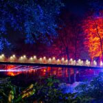 Höstljus Mattias Berglund