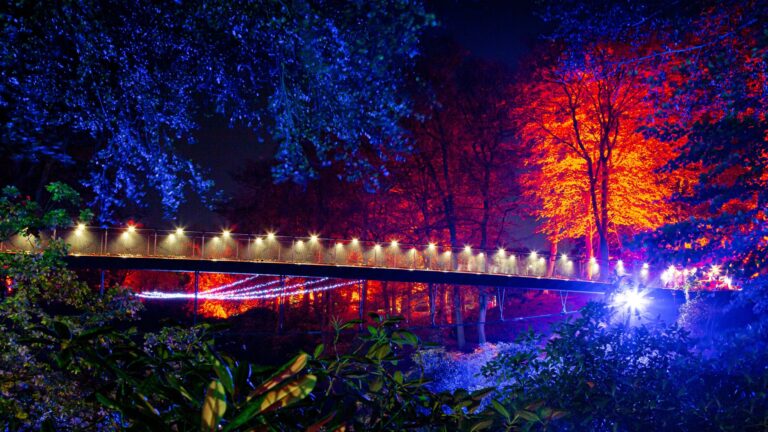 Höstljus Mattias Berglund