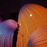 ENESS Modern Guru Estlite_DSC1268