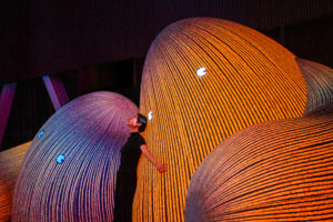 ENESS Modern Guru Estlite_DSC1268